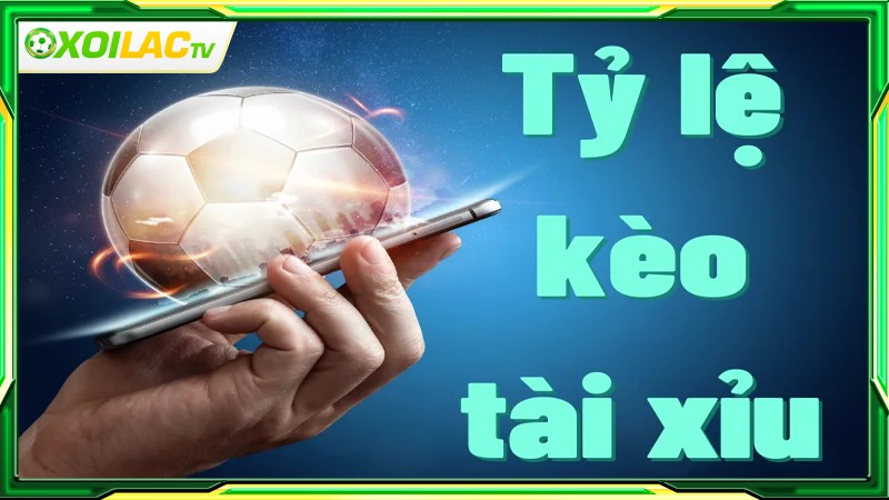 Cách xem tỷ lệ kèo tài xỉu đúng