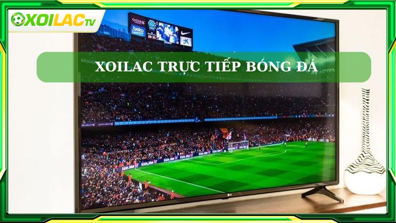 Giới thiệu về chúng tôi - Website Xoilac TV Trực tiếp bóng đá hàng đầu