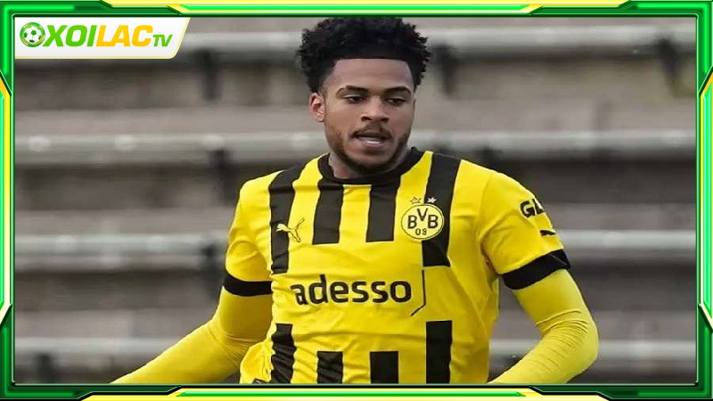 Thống kê về Almugera Kabar tại Borussia Dortmund