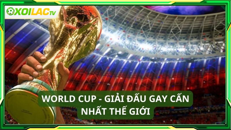 Trực tiếp bóng đá Xoilac tự hào sở hữu bản quyền World Cup 2026