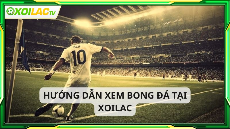 Xem bóng đá trực tiếp Xoilac đơn giản với 3 bước