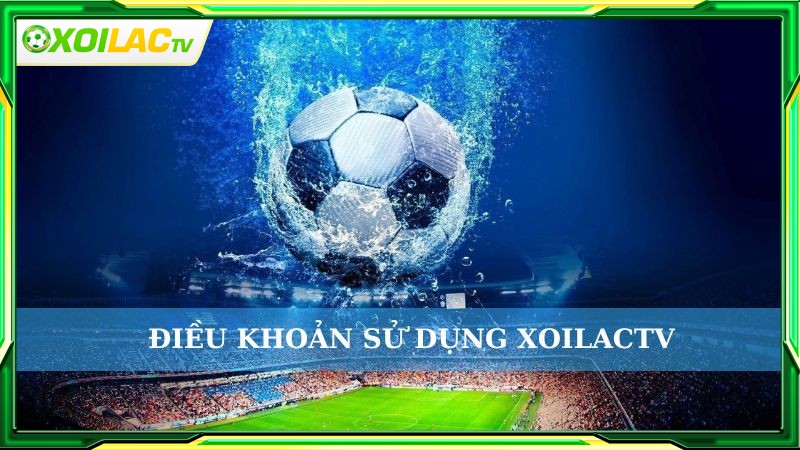 Website xoilacm.cc quy định về các điều khoản sử dụng